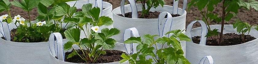 5b2557d3-f464-496e-882e-299764667df4-картинка каталога.jpg